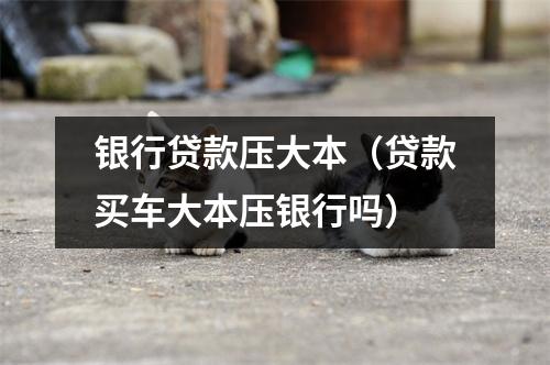 银行贷款压大本（贷款买车大本压银行吗）