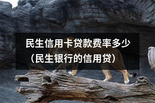 民生信用卡贷款费率多少（民生银行的信用贷）