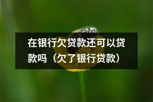 在银行欠贷款还可以贷款吗（欠了银行贷款）