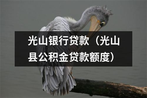 光山银行贷款(光山县公积金贷款额度)