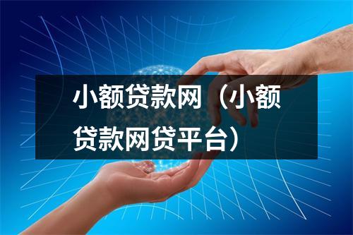 小额贷款网（小额贷款网贷平台）