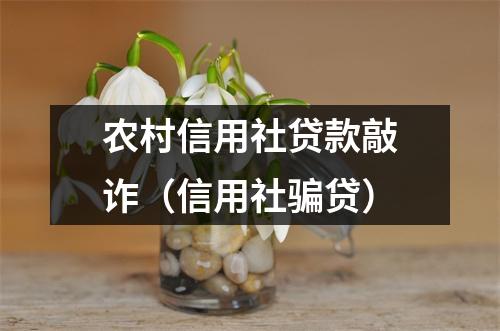 农村信用社贷款敲诈（信用社骗贷）