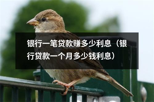 银行一笔贷款赚多少利息（银行贷款一个月多少钱利息）