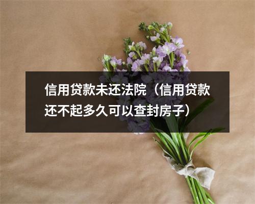 信用贷款未还法院（信用贷款还不起多久可以查封房子）