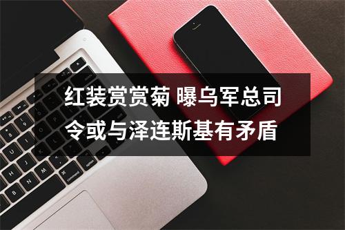 红装赏赏菊 曝乌军总司令或与泽连斯基有矛盾