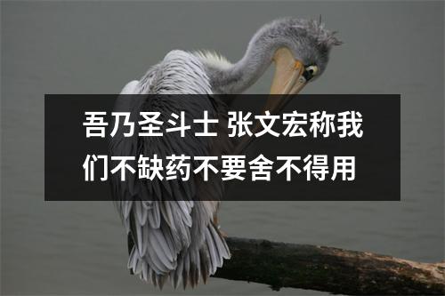 吾乃圣斗士 张文宏称我们不缺药不要舍不得用