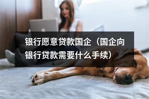 银行愿意贷款国企（国企向银行贷款需要什么手续）