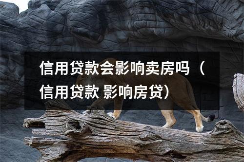 信用贷款会影响卖房吗（信用贷款 影响房贷）