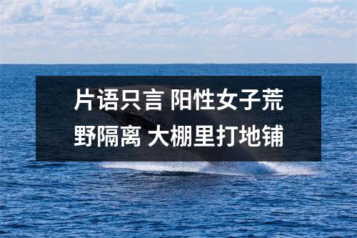 片语只言 阳性女子荒野隔离 大棚里打地铺