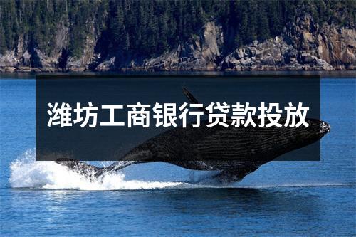潍坊工商银行贷款投放