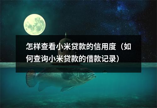 怎样查看小米贷款的信用度（如何查询小米贷款的借款记录）
