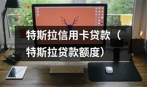 特斯拉信用卡贷款(特斯拉贷款额度)