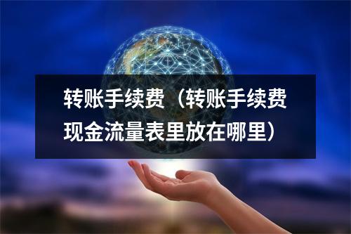 转账手续费（转账手续费现金流量表里放在哪里）