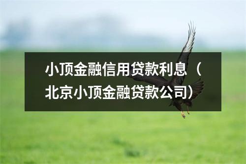小顶金融信用贷款利息（北京小顶金融贷款公司）