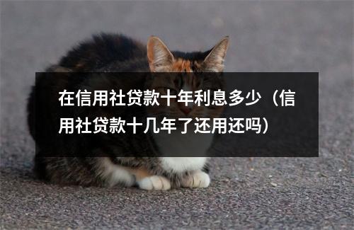 在信用社贷款十年利息多少（信用社贷款十几年了还用还吗）
