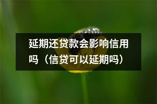 延期还贷款会影响信用吗（信贷可以延期吗）