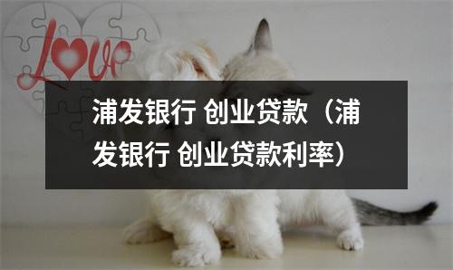 浦发银行 创业贷款（浦发银行 创业贷款利率）