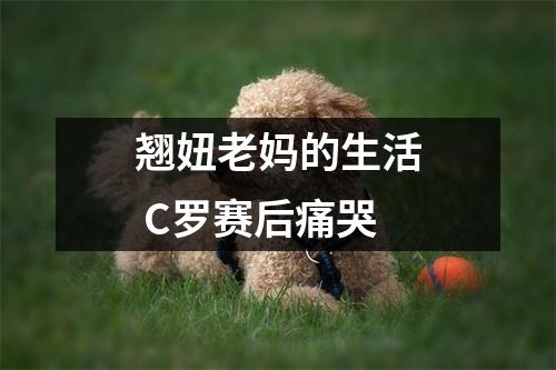 翘妞老妈的生活 C罗赛后痛哭