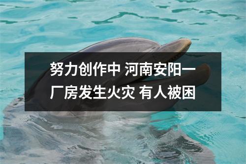 努力创作中 河南安阳一厂房发生火灾 有人被困