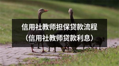 信用社教师担保贷款流程（信用社教师贷款利息）
