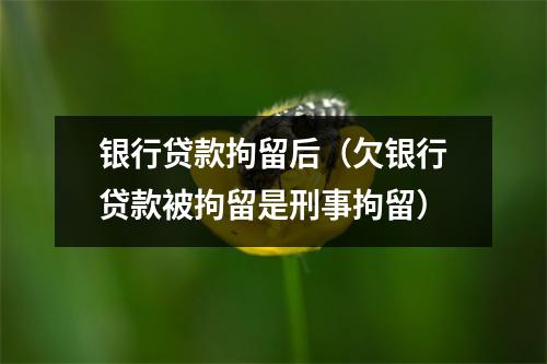 银行贷款拘留后（欠银行贷款被拘留是刑事拘留）