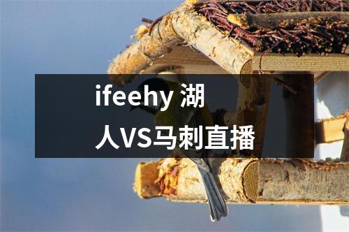 ifeehy 湖人VS马刺直播
