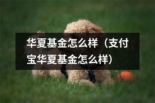 华夏基金怎么样（支付宝华夏基金怎么样）