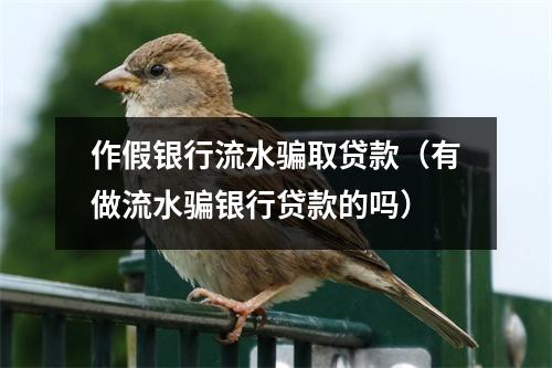 作假银行流水骗取贷款(有做流水骗银行贷款的吗)