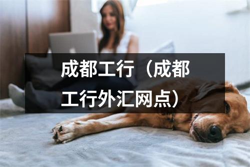 成都工行（成都工行外汇网点）