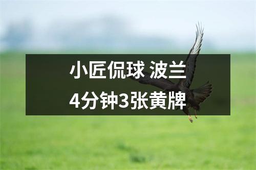 小匠侃球 波兰4分钟3张黄牌