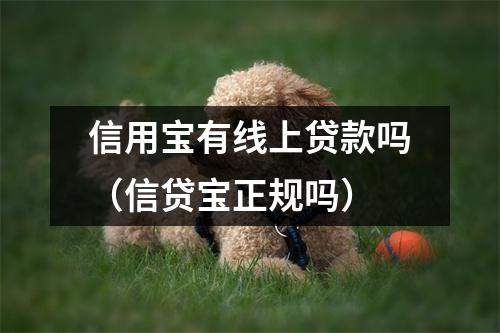 信用宝有线上贷款吗（信贷宝正规吗）