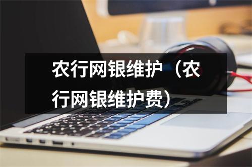 农行网银维护（农行网银维护费）