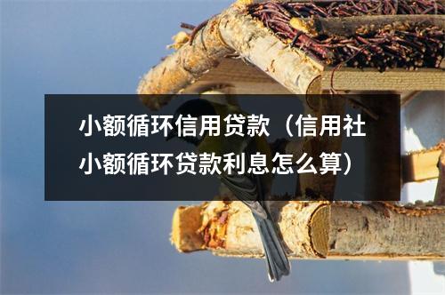 小额循环信用贷款（信用社小额循环贷款利息怎么算）
