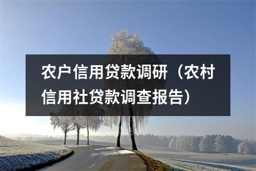 农户信用贷款调研（农村信用社贷款调查报告）