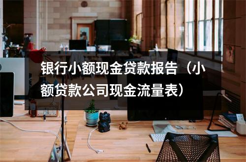 银行小额现金贷款报告（小额贷款公司现金流量表）
