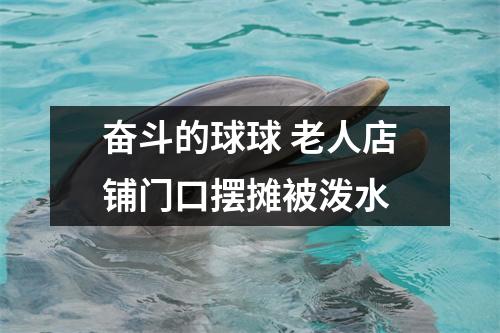 奋斗的球球 老人店铺门口摆摊被泼水