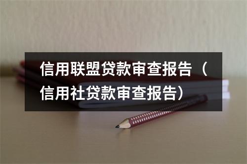 信用联盟贷款审查报告（信用社贷款审查报告）