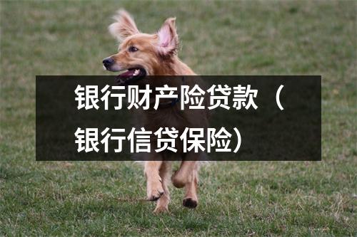 银行财产险贷款（银行信贷保险）