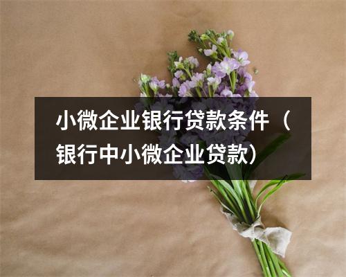 小微企业银行贷款条件(银行中小微企业贷款)