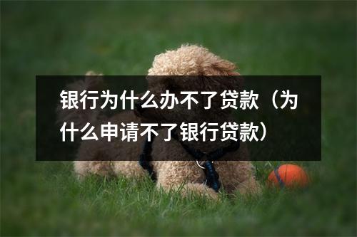 银行为什么办不了贷款（为什么申请不了银行贷款）
