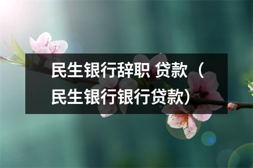 民生银行辞职 贷款（民生银行银行贷款）