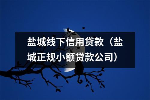 盐城线下信用贷款（盐城正规小额贷款公司）