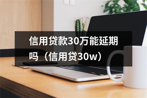信用贷款30万能延期吗（信用贷30w）