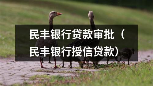 民丰银行贷款审批（民丰银行授信贷款）