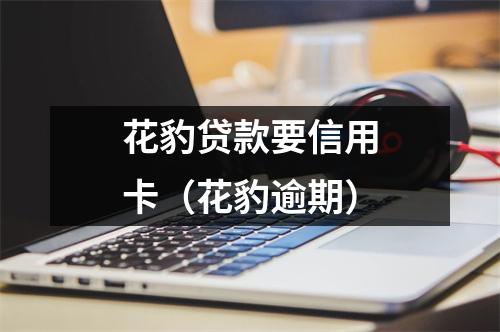 花豹贷款要信用卡（花豹逾期）