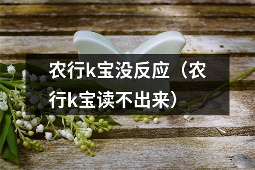 农行k宝没反应（农行k宝读不出来）