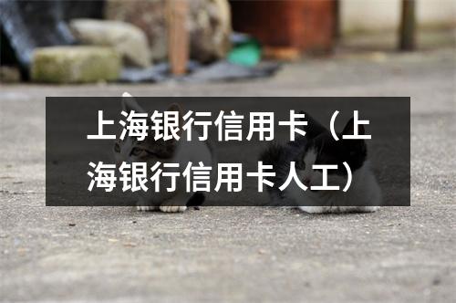 上海银行信用卡（上海银行信用卡人工）