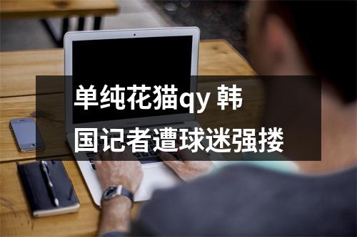 单纯花猫qy 韩国记者遭球迷强搂