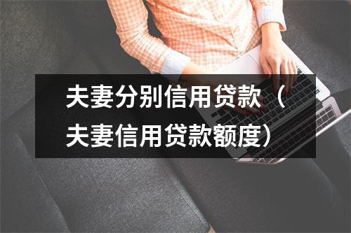 夫妻分别信用贷款（夫妻信用贷款额度）