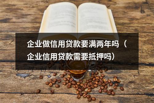 企业做信用贷款要满两年吗（企业信用贷款需要抵押吗）
